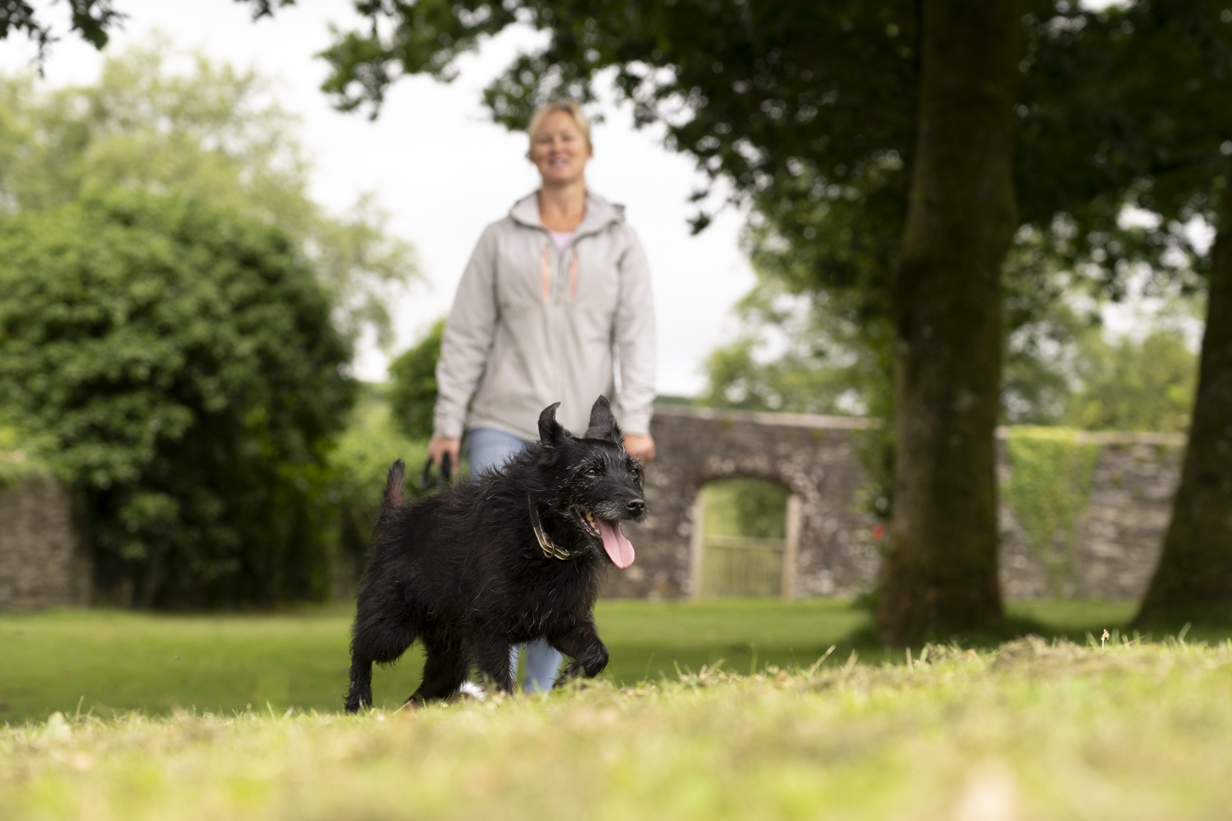Dog and owner walking together at Cherry Bird