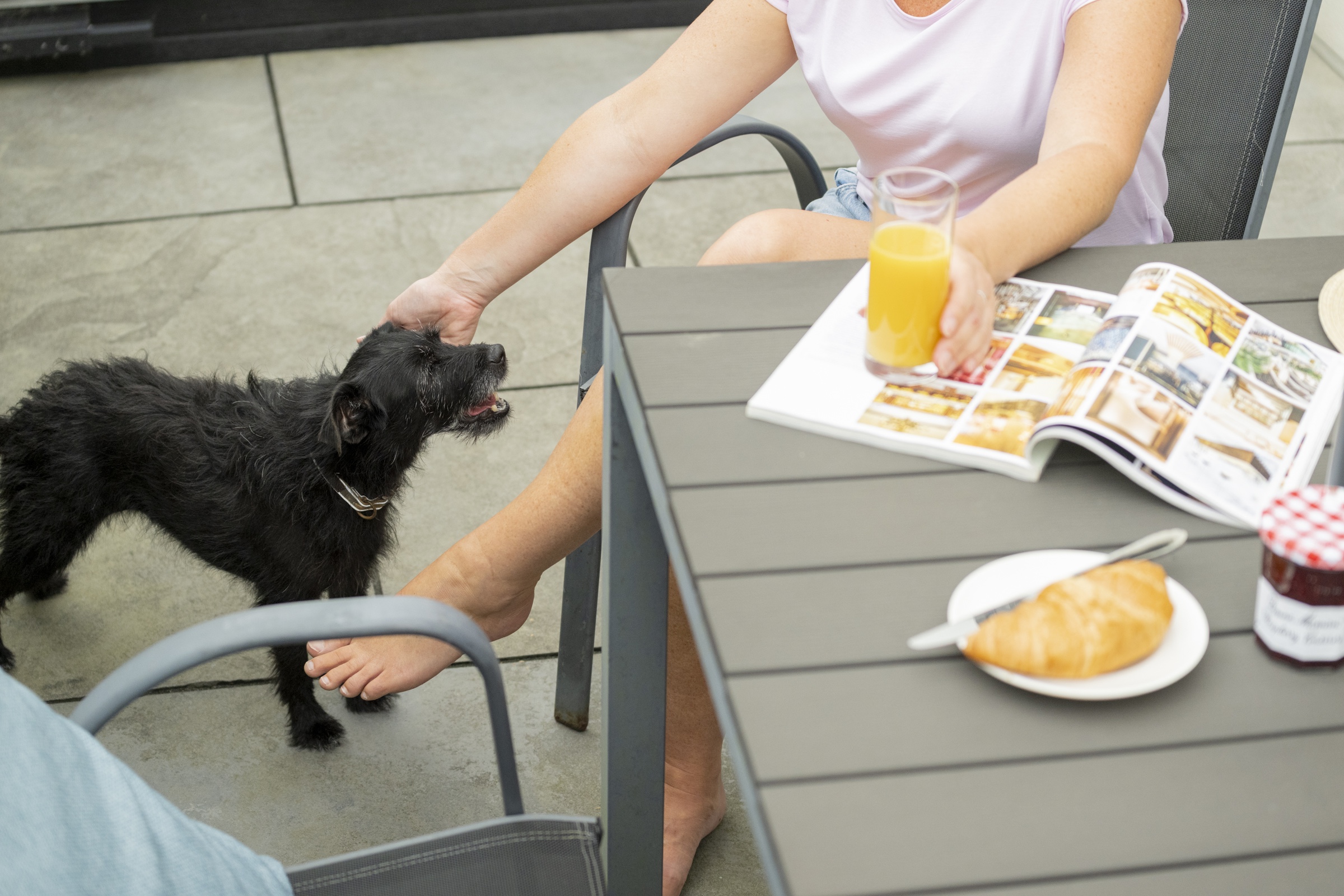 Dog and owner on the lodge decking